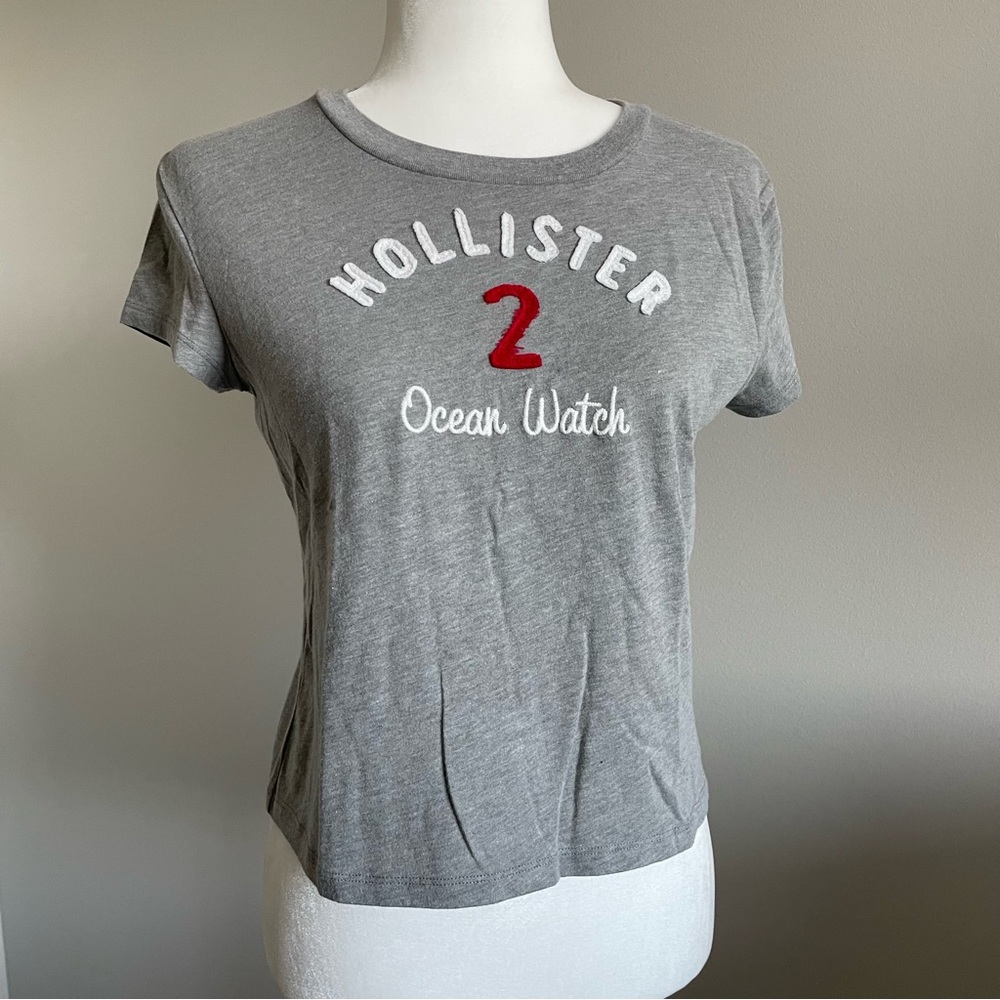 HOLLISTER Grey Shirt, Crop Top Tee, Cropped T-Shirt, Appliqué Top, California